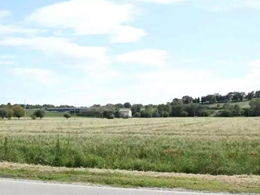 Immagine 2 di Terreno agricolo in vendita  in Via Europa a Mondolfo