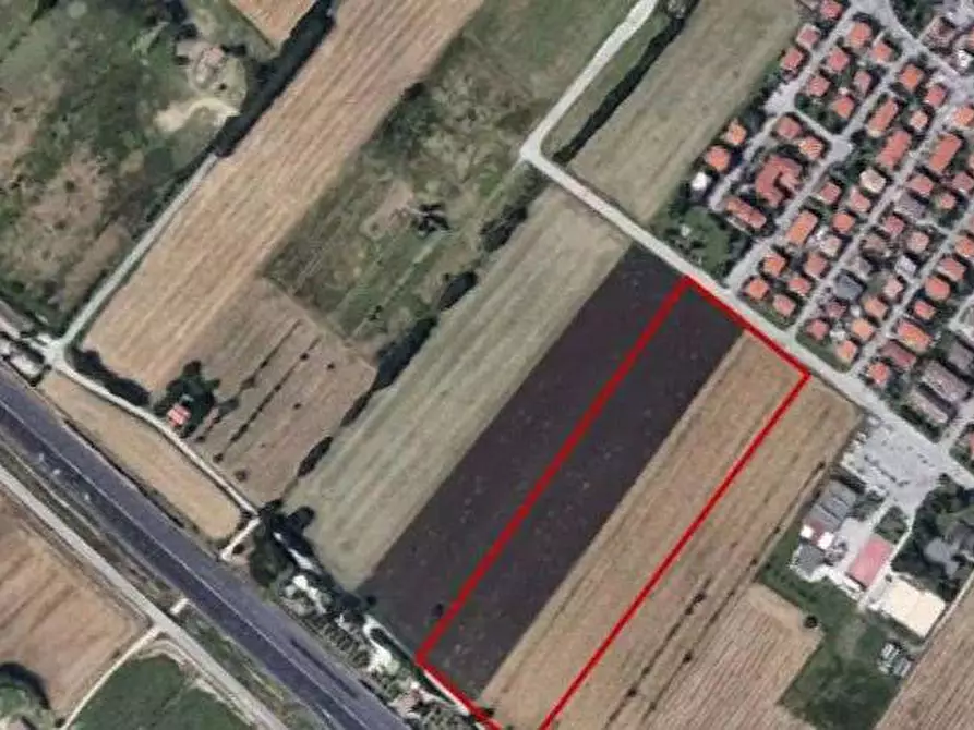 Immagine 3 di Terreno agricolo in vendita  in Via Europa a Mondolfo