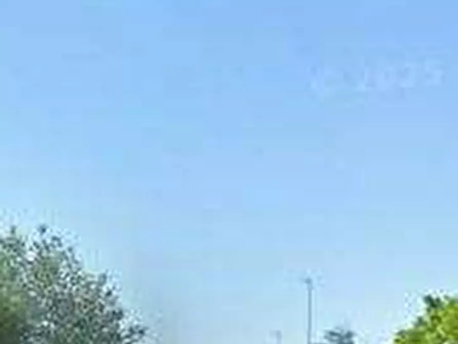 Immagine 6 di Terreno agricolo in vendita  in Via Europa a Mondolfo