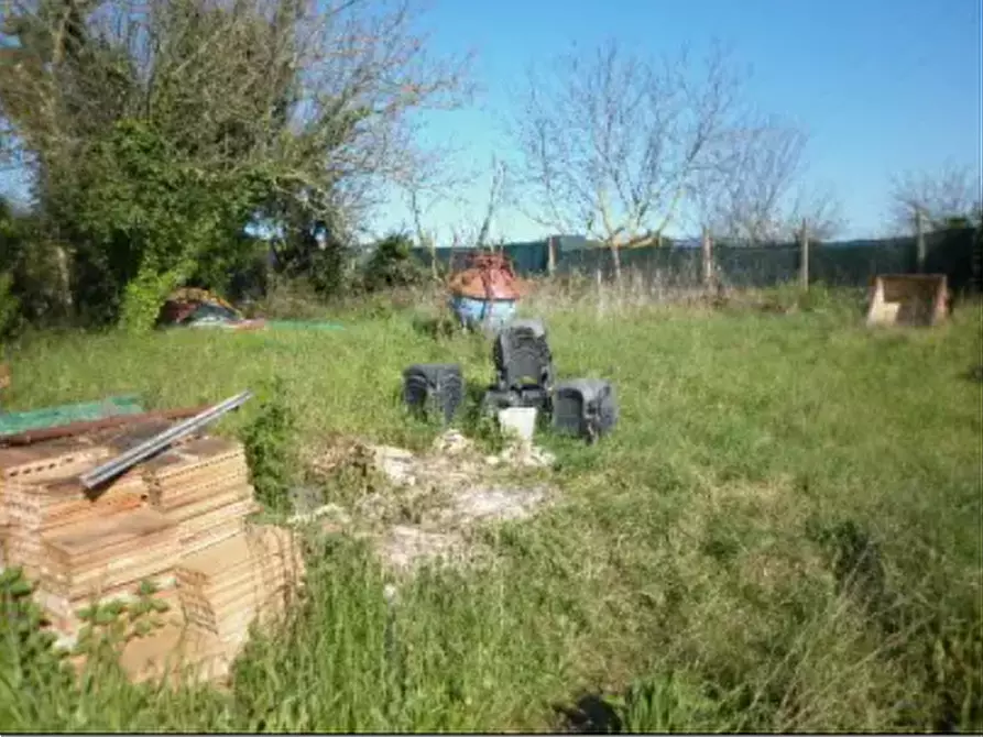 Immagine 1 di Terreno agricolo in vendita  in Frazione Centinarola a Fano
