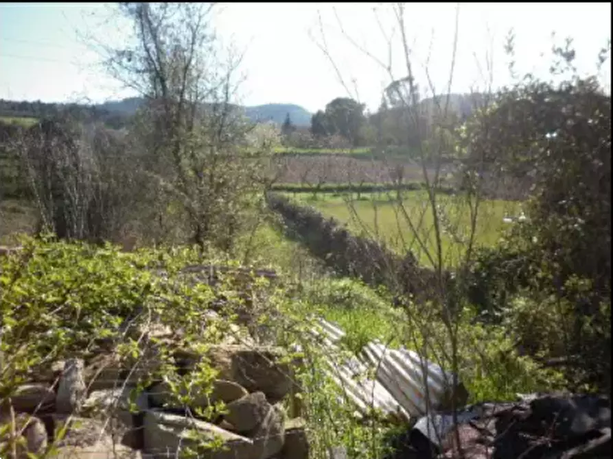 Immagine 2 di Terreno agricolo in vendita  in Frazione Centinarola a Fano