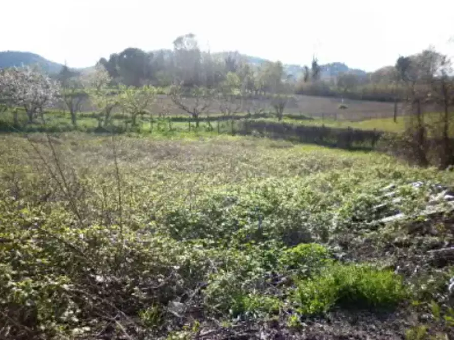 Immagine 3 di Terreno agricolo in vendita  in Frazione Centinarola a Fano