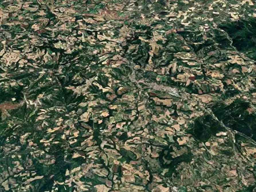 Immagine 10 di Appartamento in vendita  in Via Angel Dalfuoco a Pergola