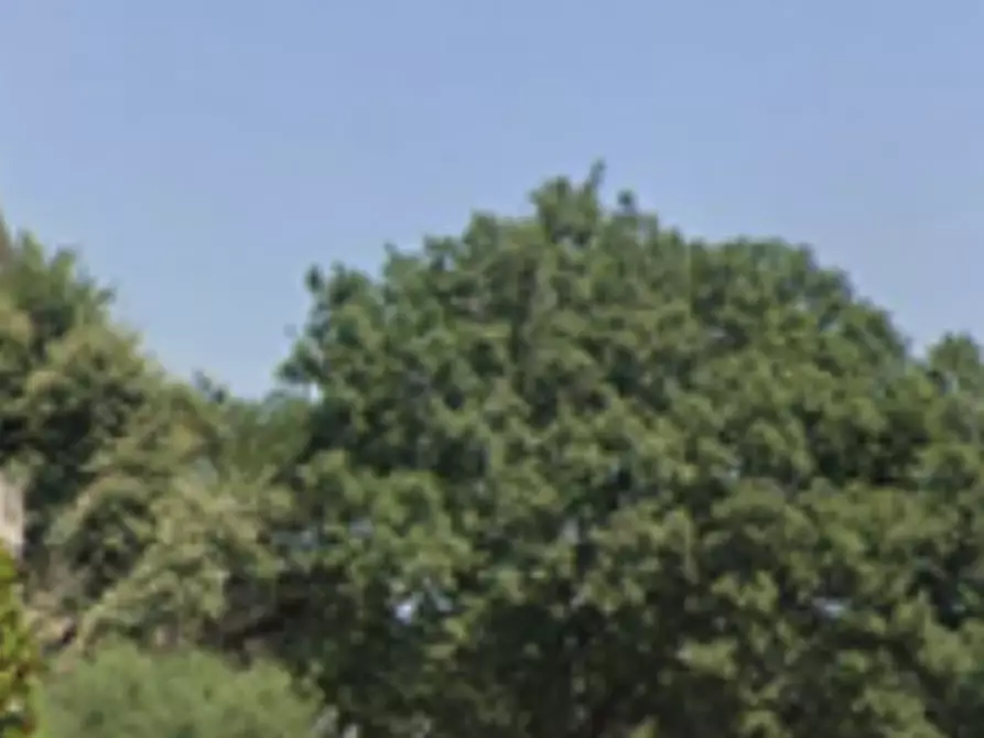 Immagine 16 di Appartamento in vendita  in Via Fabio Tombari a Tavullia