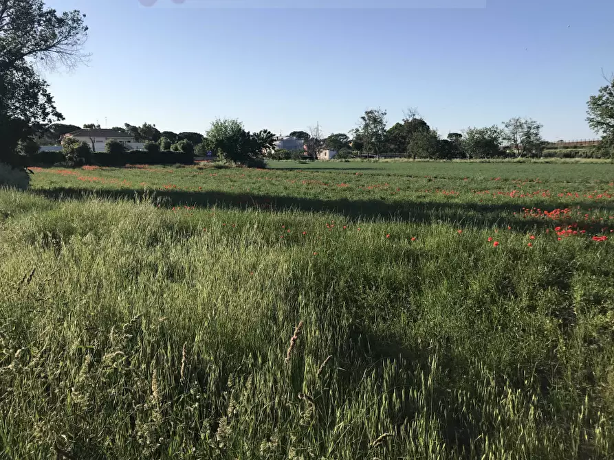 Immagine 2 di Terreno edificabile in vendita  in Via Baretti a Fano