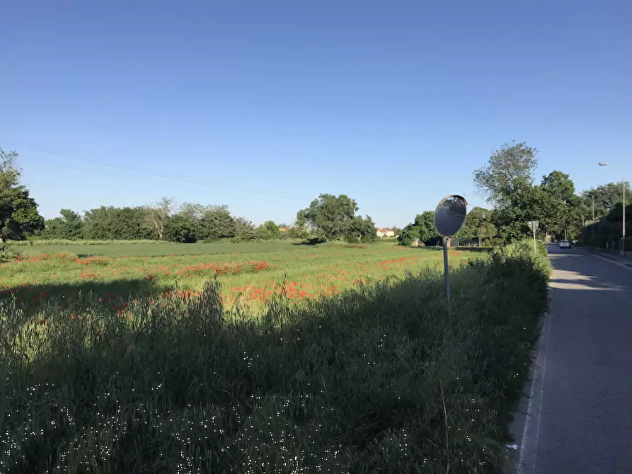 Immagine 3 di Terreno edificabile in vendita  in Via Baretti a Fano