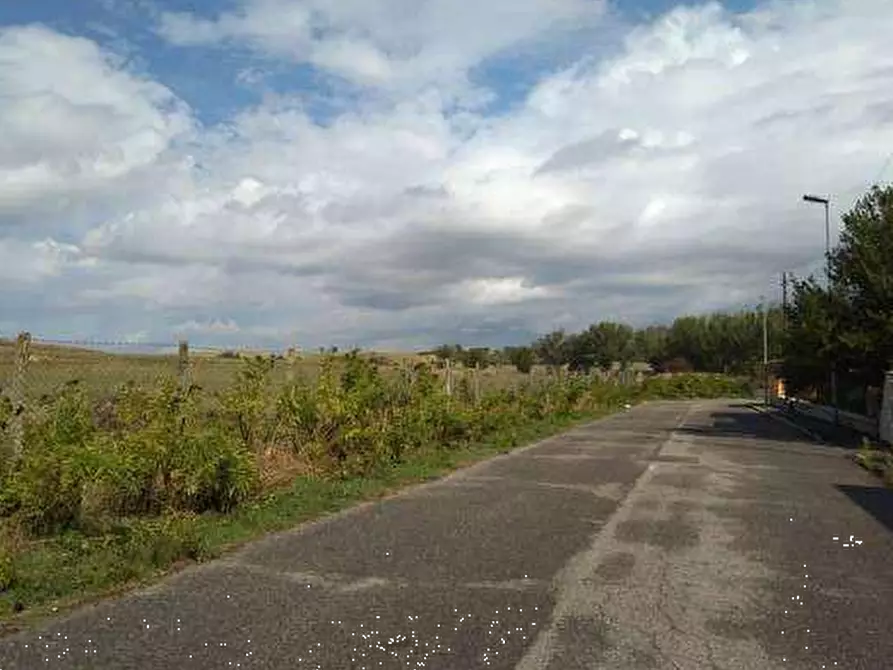 Immagine 2 di Terreno agricolo in vendita  in Via Casal Bianco a Guidonia Montecelio