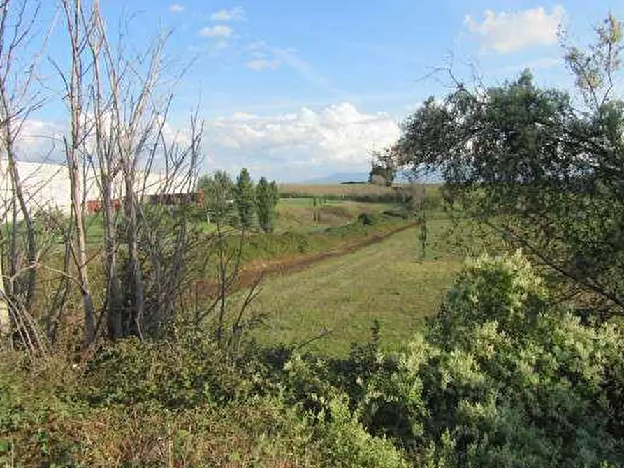 Immagine 1 di Terreno agricolo in vendita  in Via Casal Bianco a Guidonia Montecelio