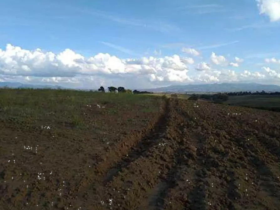 Immagine 3 di Terreno agricolo in vendita  in Via Casal Bianco a Guidonia Montecelio