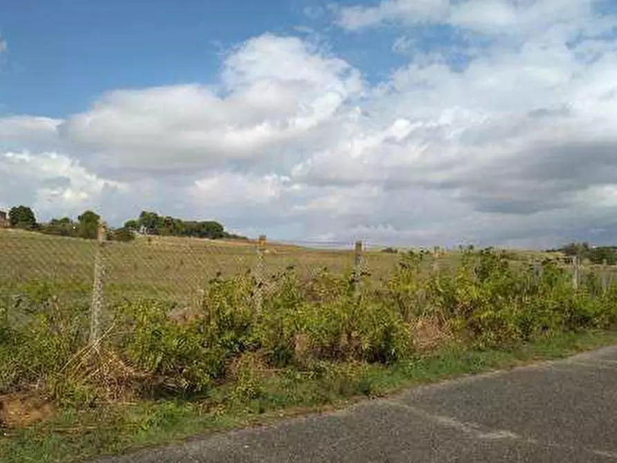 Immagine 4 di Terreno agricolo in vendita  in Via Casal Bianco a Guidonia Montecelio