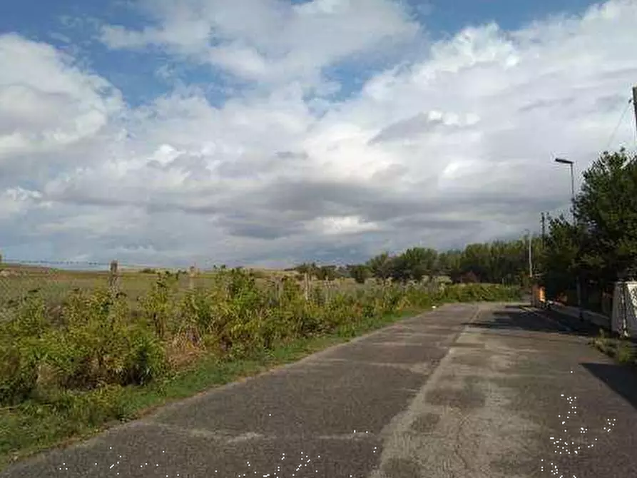 Immagine 6 di Terreno agricolo in vendita  in Via Casal Bianco a Guidonia Montecelio
