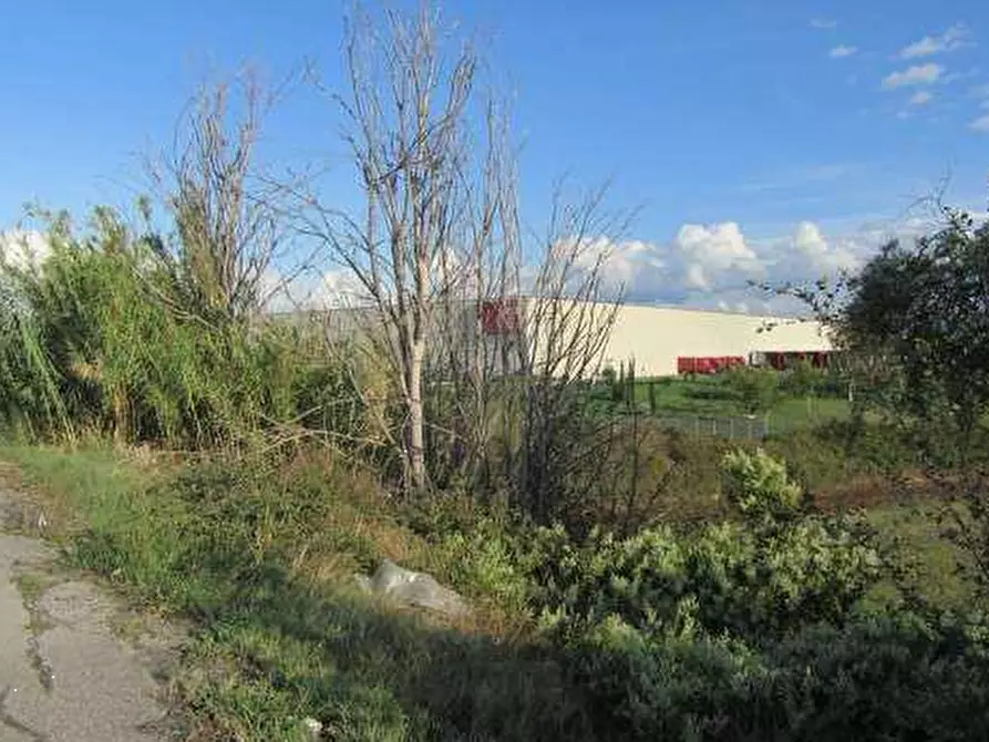 Immagine 7 di Terreno agricolo in vendita  in Via Casal Bianco a Guidonia Montecelio
