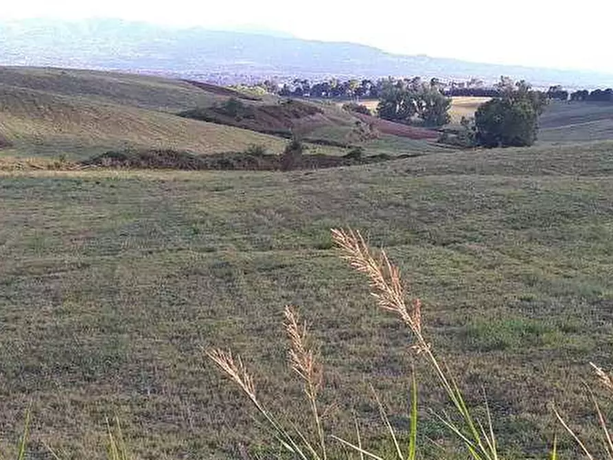 Immagine 8 di Terreno agricolo in vendita  in Via Casal Bianco a Guidonia Montecelio