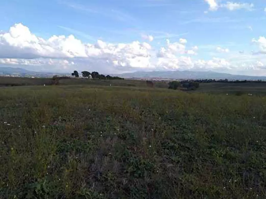 Immagine 9 di Terreno agricolo in vendita  in Via Casal Bianco a Guidonia Montecelio