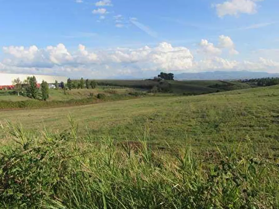 Immagine 10 di Terreno agricolo in vendita  in Via Casal Bianco a Guidonia Montecelio