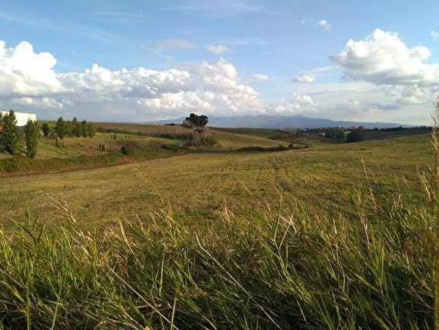 Immagine 12 di Terreno agricolo in vendita  in Via Casal Bianco a Guidonia Montecelio
