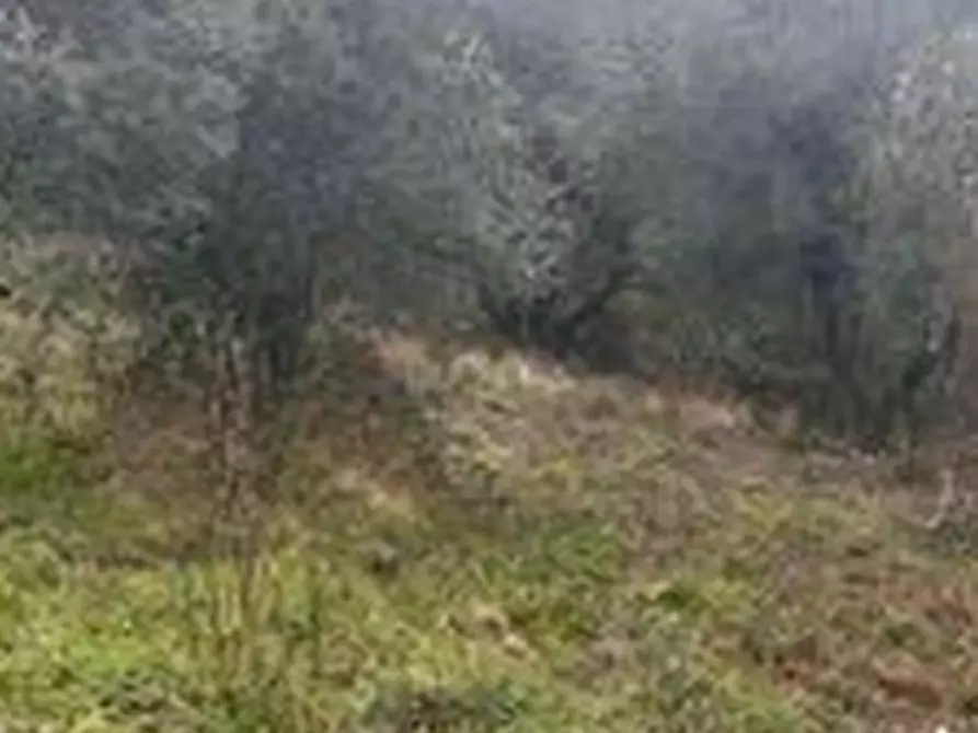 Immagine 4 di Terreno edificabile in vendita  a Campagnano Di Roma