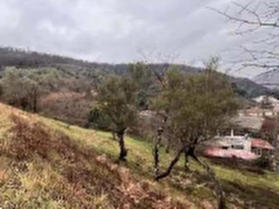 Immagine 5 di Terreno edificabile in vendita  in Via Strada Arci a Tivoli