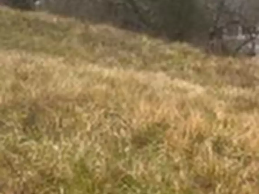 Immagine 6 di Terreno edificabile in vendita  in Via Strada Arci a Tivoli