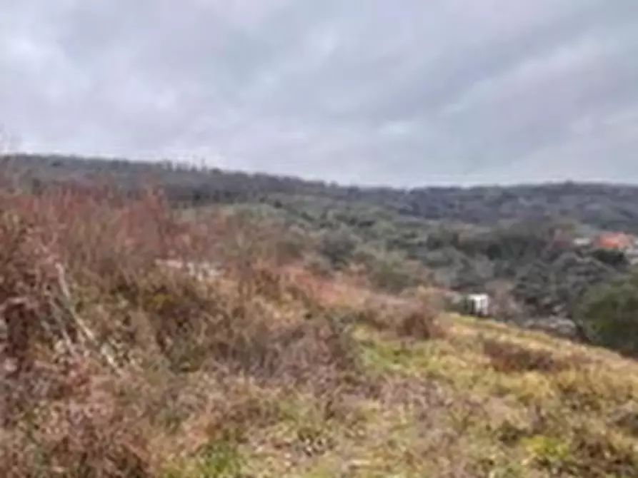 Immagine 7 di Terreno edificabile in vendita  in Via Strada Arci a Tivoli