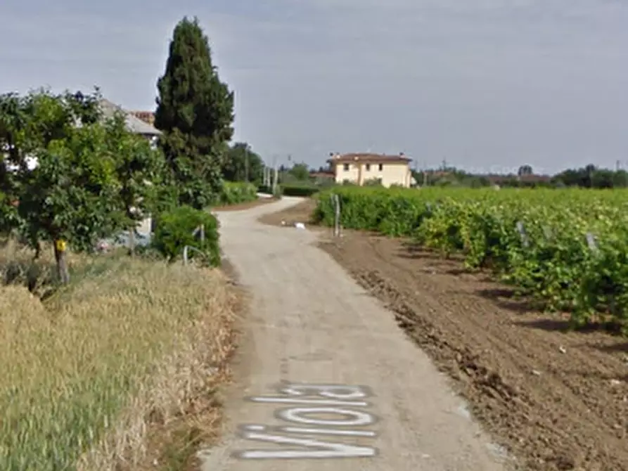 Immagine 5 di Terreno agricolo in vendita  in Via Viola a Santarcangelo Di Romagna