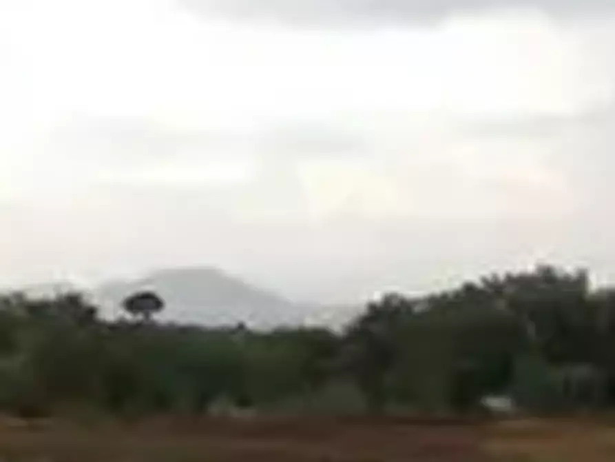 Immagine 4 di Terreno edificabile in vendita  in Loc. Colonelle a Gallicano Nel Lazio