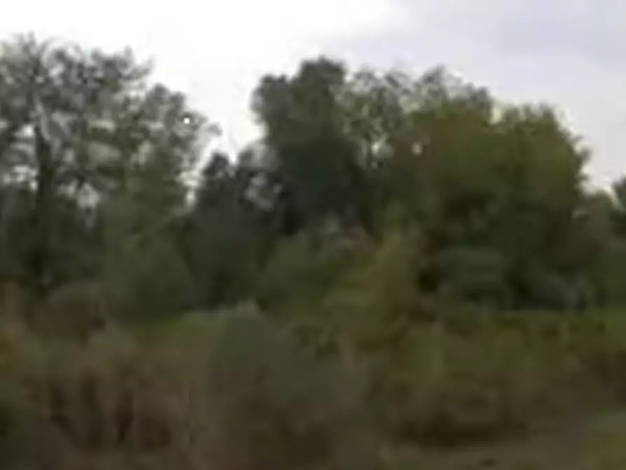 Immagine 5 di Terreno edificabile in vendita  in Loc. Colonelle  a Gallicano Nel Lazio