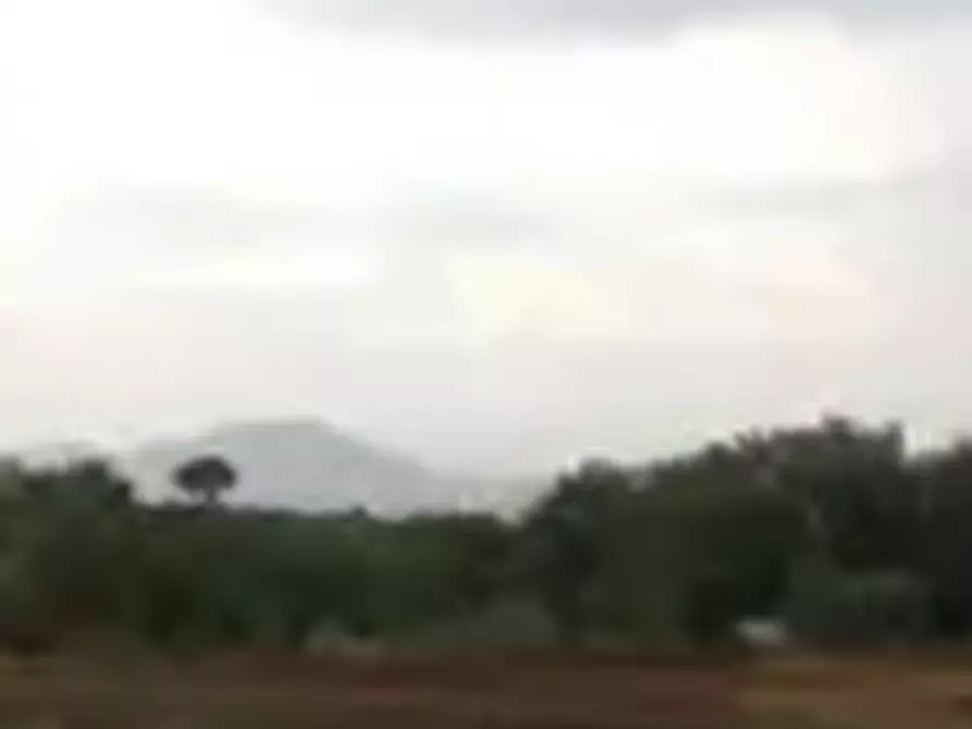 Immagine 6 di Terreno edificabile in vendita  in Loc. Colonelle  a Gallicano Nel Lazio