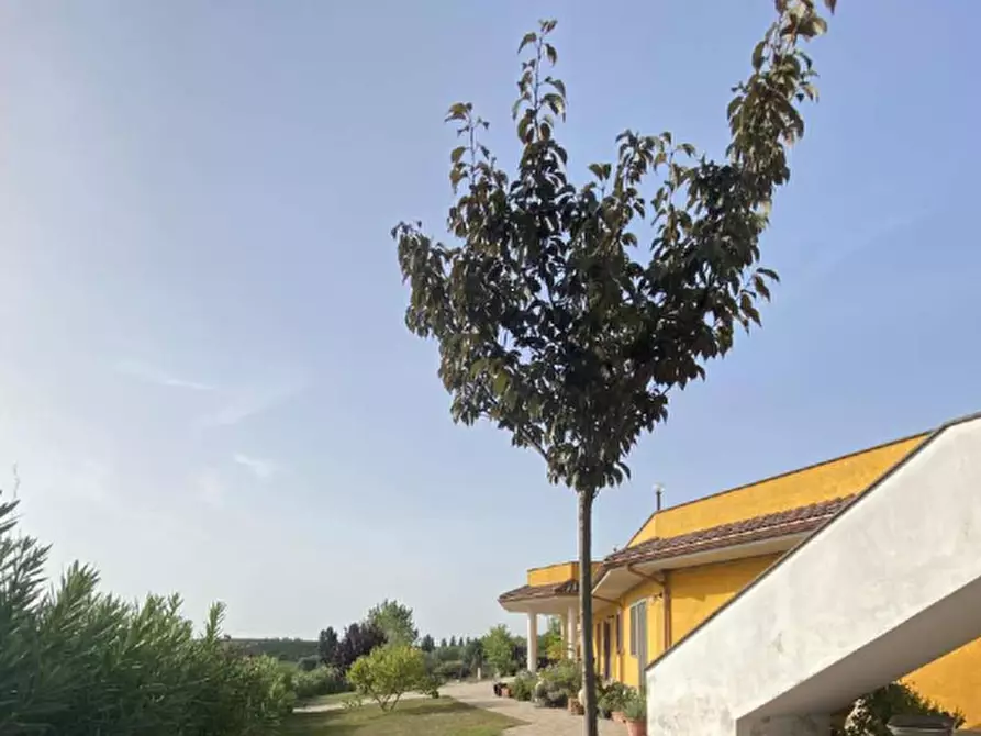 Immagine 10 di Hotel in vendita  in Via Fontana Parata a Velletri