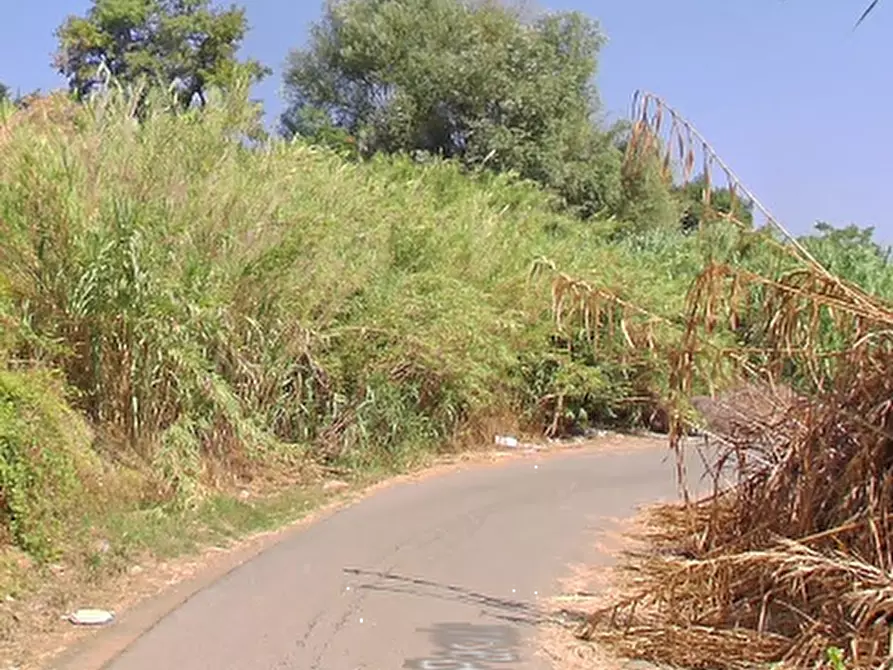 Immagine 16 di Hotel in vendita  in Via Fontana Parata a Velletri
