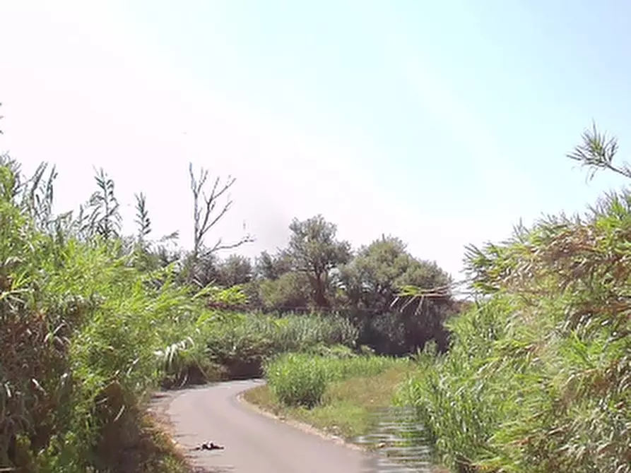 Immagine 17 di Hotel in vendita  in Via Fontana Parata a Velletri