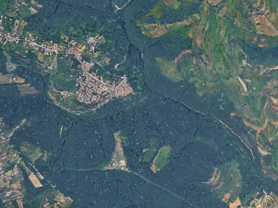 Immagine 4 di Stabile in vendita  in Via Paolello a Civitella San Paolo