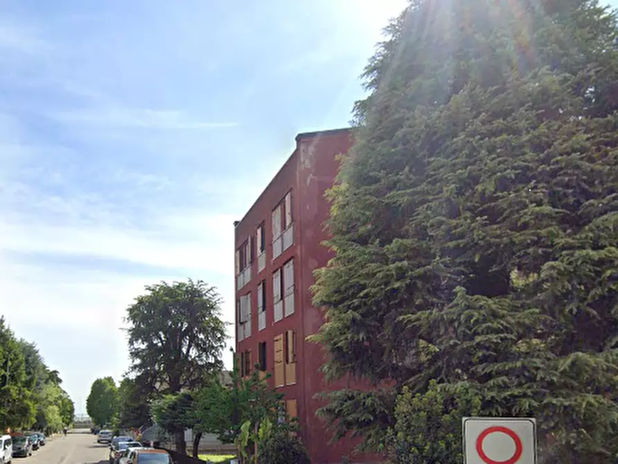 Immagine 16 di Appartamento in vendita  in Via Marzabotto  a Nogara