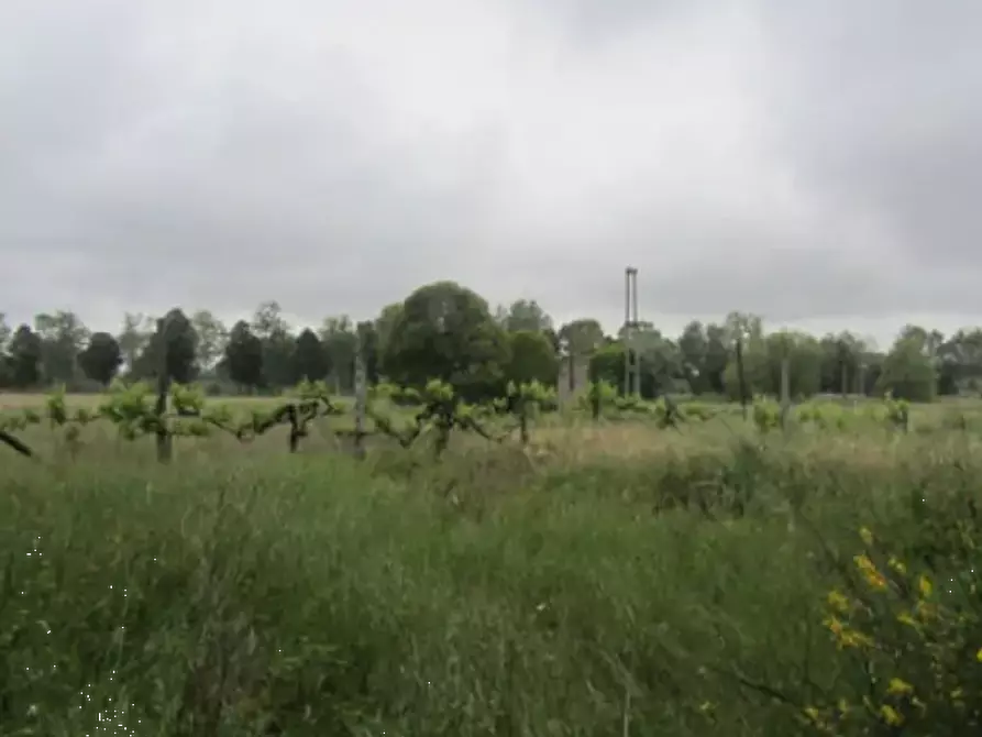 Immagine 1 di Terreno edificabile in vendita  in Via Gagarin a Pesaro