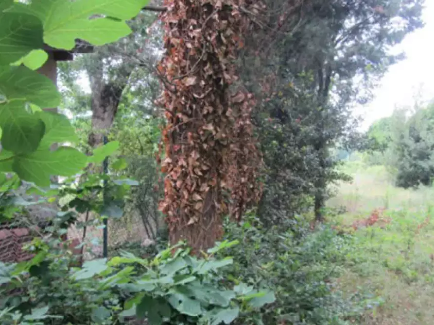 Immagine 4 di Terreno edificabile in vendita  in Via Gagarin a Pesaro