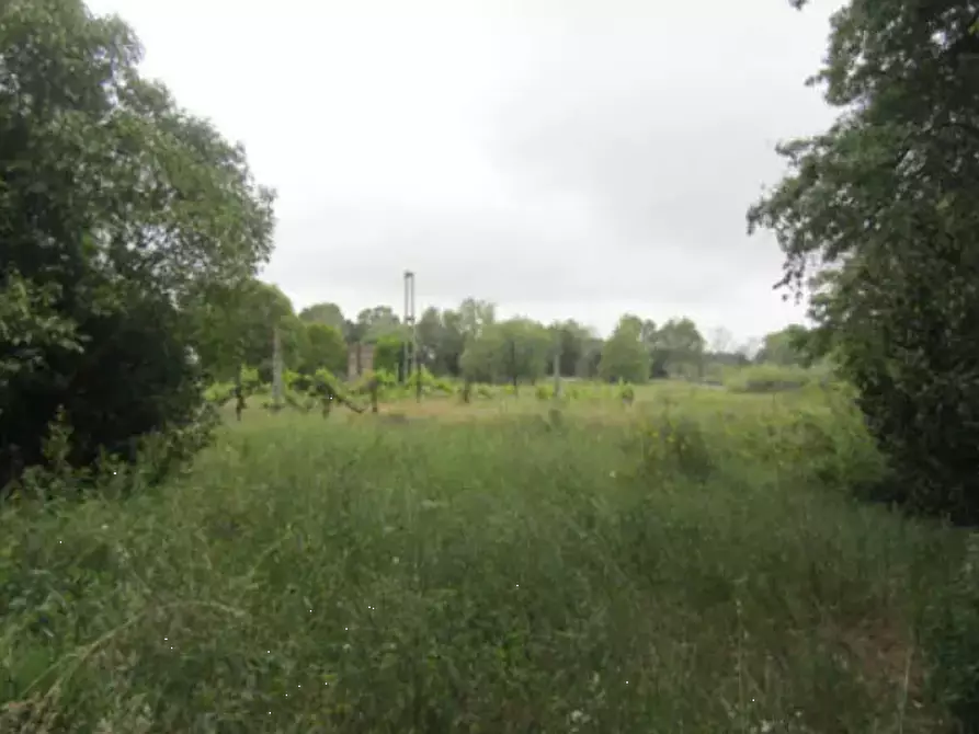 Immagine 6 di Terreno edificabile in vendita  in Via Gagarin a Pesaro