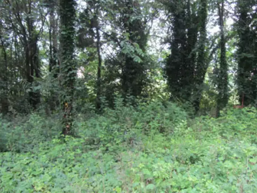 Immagine 8 di Terreno edificabile in vendita  in Via Gagarin a Pesaro