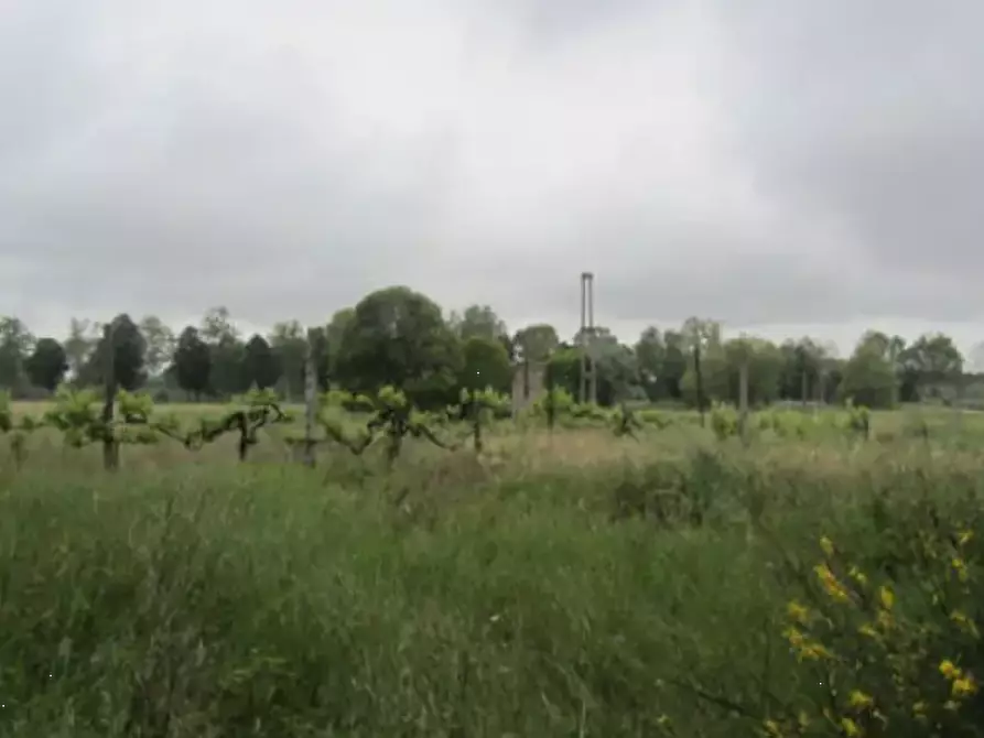 Immagine 16 di Terreno edificabile in vendita  in Via Gagarin a Pesaro