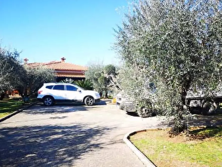 Immagine 3 di Villa in vendita  in Via Campetto dei Macellari a Velletri