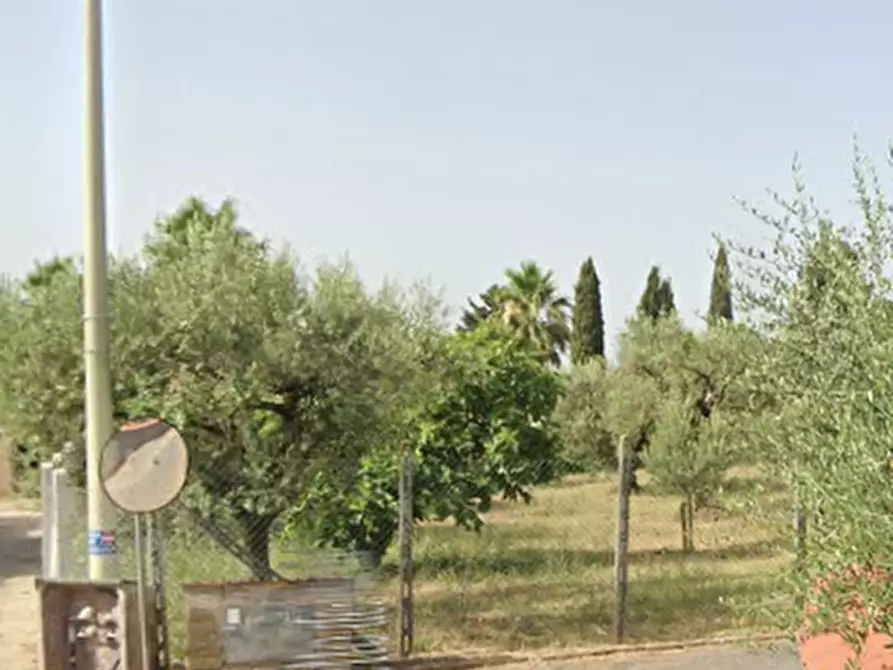 Immagine 10 di Villa in vendita  in Via Campetto dei Macellari a Velletri