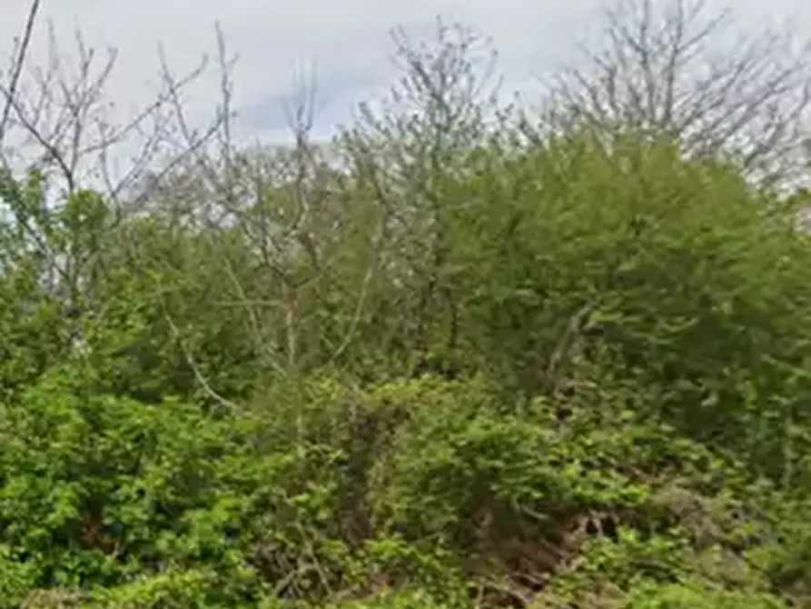 Immagine 2 di Terreno agricolo in vendita  in Via Agrolatino a Labico