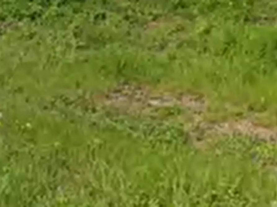 Immagine 3 di Terreno agricolo in vendita  in Via Agrolatino a Labico