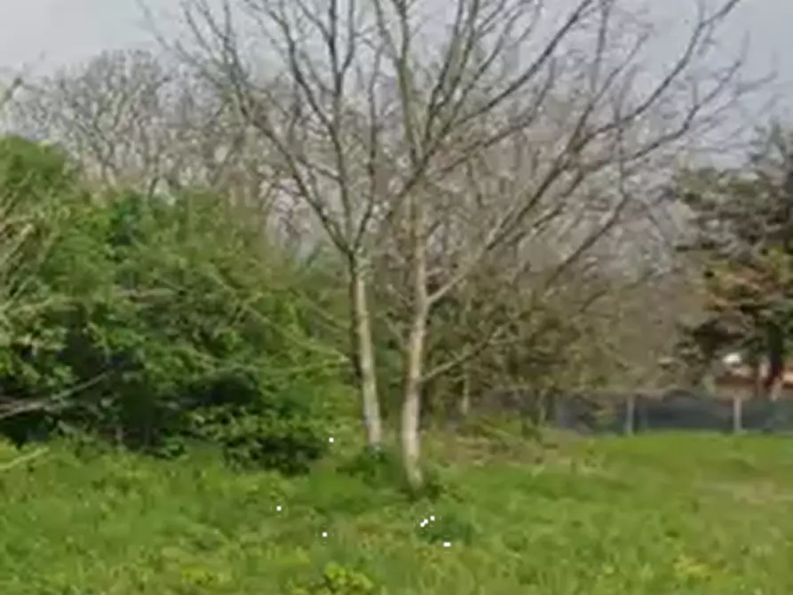 Immagine 4 di Terreno agricolo in vendita  in Via Agrolatino a Labico