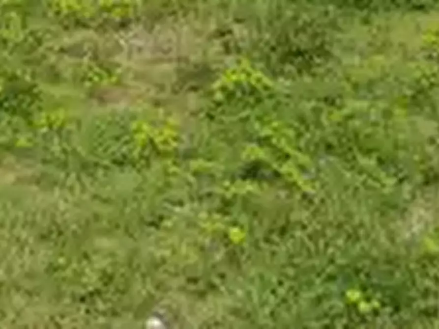 Immagine 5 di Terreno agricolo in vendita  in Via Agrolatino a Labico