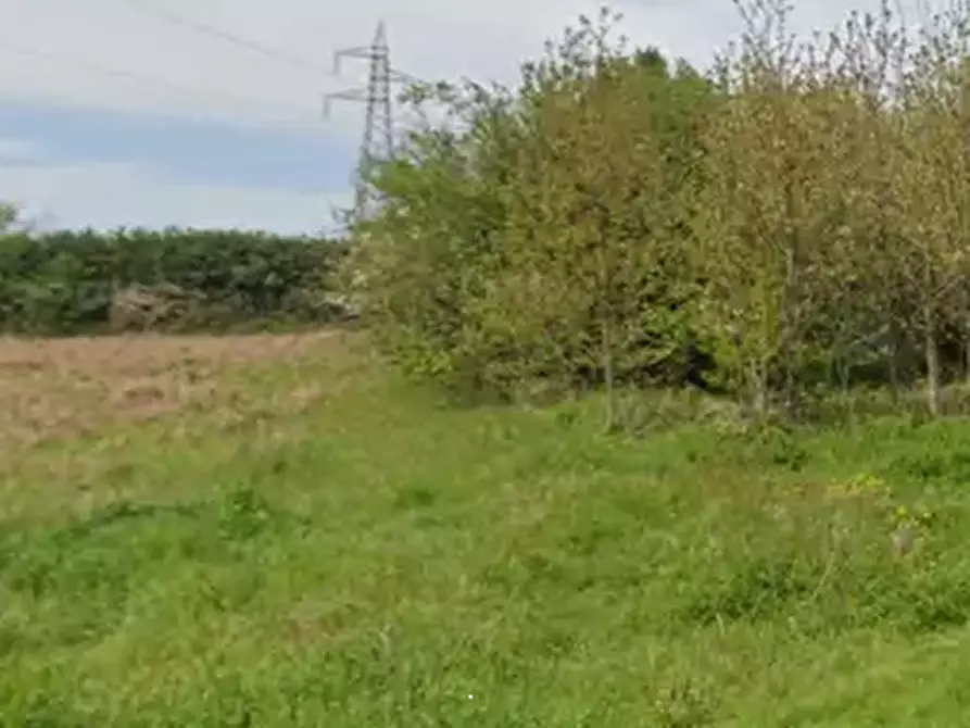 Immagine 6 di Terreno agricolo in vendita  in Via Agrolatino a Labico