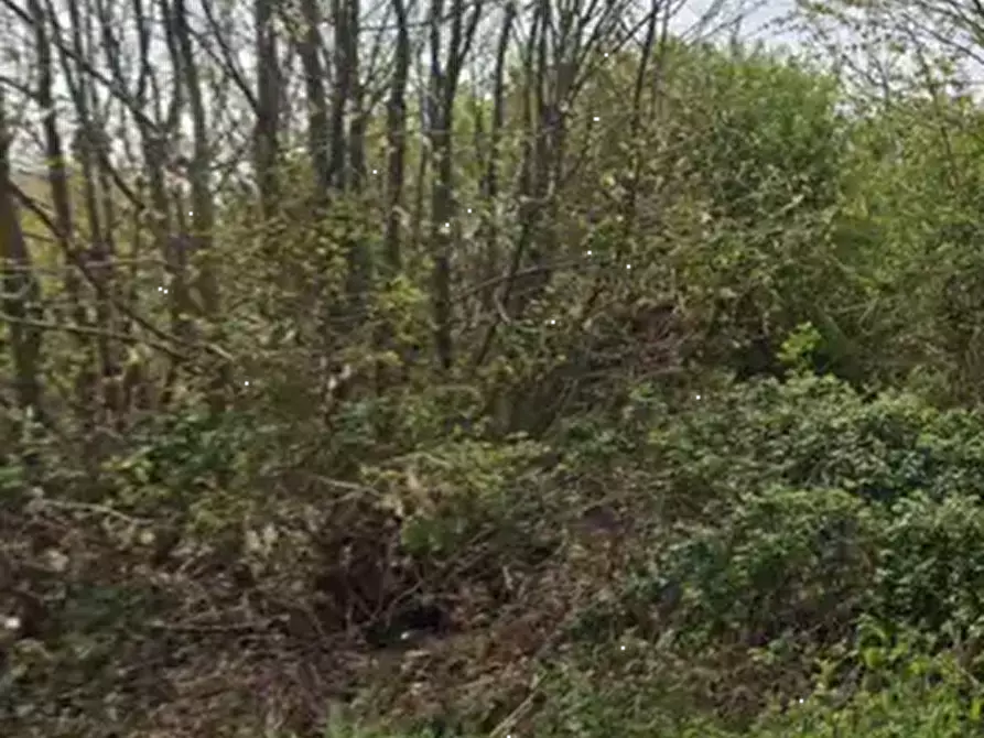 Immagine 7 di Terreno agricolo in vendita  in Via Agrolatino a Labico