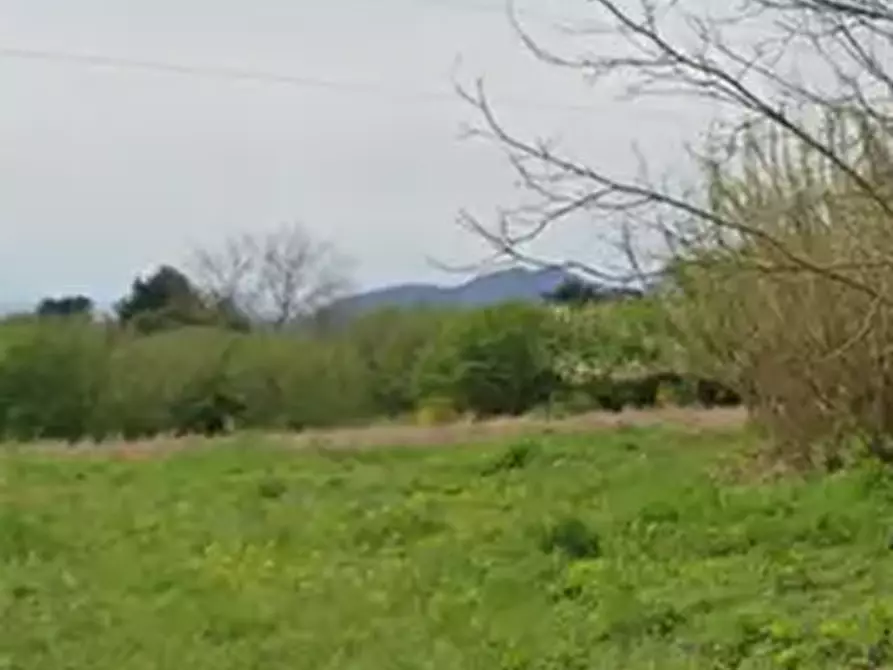 Immagine 10 di Terreno agricolo in vendita  in Via Agrolatino a Labico