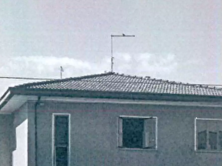 Immagine 10 di Appartamento in vendita  in Via Don Bosco a Musile Di Piave