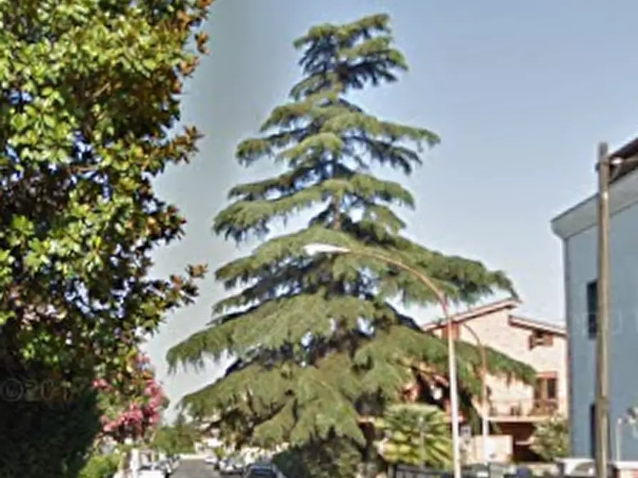 Immagine 3 di Villetta a schiera in vendita  in Via Giosuè Carducci a Tivoli