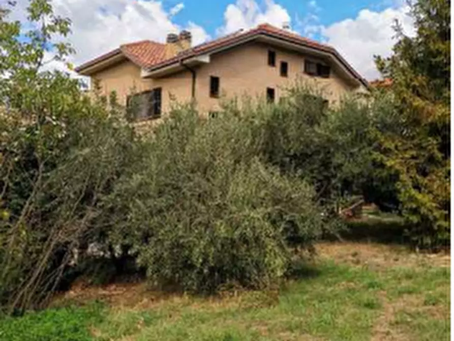 Immagine 4 di Casa indipendente in vendita  in Via Pacifico Marini a Petritoli